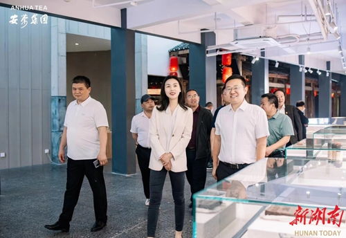 永定區(qū)工商聯(lián)推動(dòng)民企‘走出去，請(qǐng)進(jìn)來’，助力經(jīng)濟(jì)與文化雙騰飛